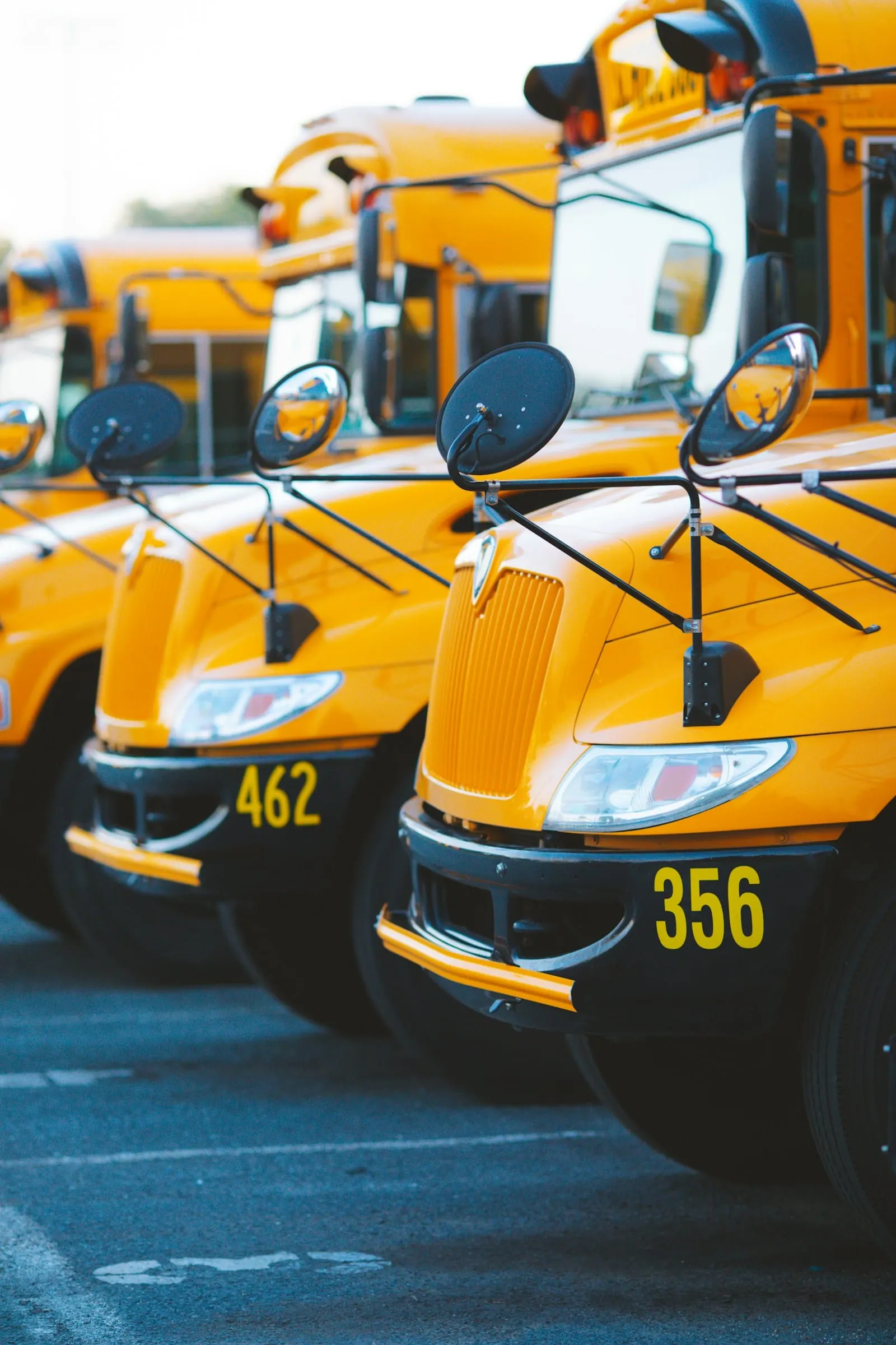 Row of yellow school buses